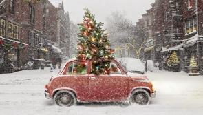 Portlaoise Lions Club  reach out to local people to back the 'real' Christmas tree sale with Laois Hospice