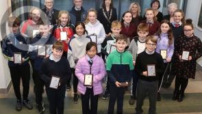 Young Laois artistic talent celebrated by Lions Club and Laois County Council