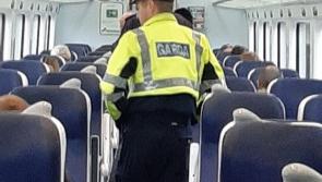 Garda&iacute; patrol trains linking Laois, Kildare, Dublin