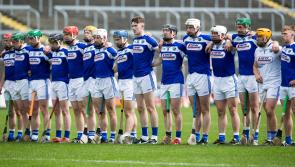 Laois GAA select Committee to find next hurling boss