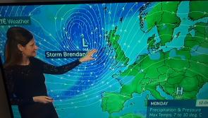 Storm Brendan: Trees are down on Offaly roads