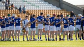 Laois hurling team named for Wexford's visit to Portlaoise