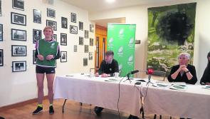 Big green energy should not be 'plonked' on rural Ireland, Green Party launch on rural Ireland told 