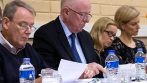 Laois Offaly TD wants to investigate 'value for money' of 'super junior' ministers including his constituency colleague