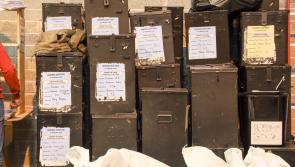 Fleming and Nolan win last two seats in Laois-Offaly