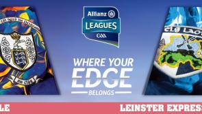 Laois hurlers league clash with Clare this Sunday to be televised