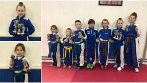 Laois Martial Arts secure medal haul in first outing of 2020