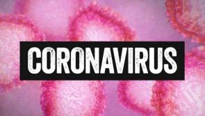 Coronavirus Covid-19 confirmed cases reaches 54 - 1,000 expected by end of week