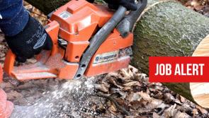 JOBS: Experienced timber cutter required in the Laois-Offaly area 