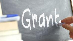 Student grant body SUSI calls for applications ASAP