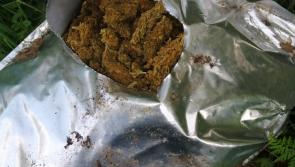 Dumping brought to new level in Laois where Gardai discover more than &euro;1 million of cannabis in a ditch