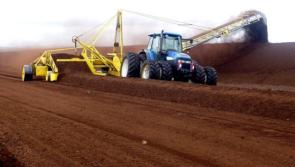 Covid-19 hit households face carbon tax fuel hike