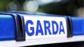 List of highest speed hot spots published by Gardaí from National Slow Down Day