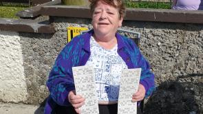 PHOTOS: Laois housing estate playing garden bingo during  #Covid-19