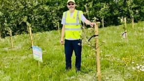 Laois Tidy Towns groups given  funding green light to spend cash