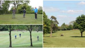 PHOTOS: Abbeyleix golfers getting back into the swing of things 