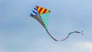 Laois kids to do you want to make a kite - then fly along with other children on this year’s Cruinniú na nÓg