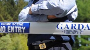 BREAKING: Nine arrests made following 60 searches by Gardaí across three counties