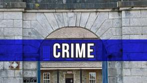 Shocking details of a horrific attack on Laois garda in Portlaoise outlined in court