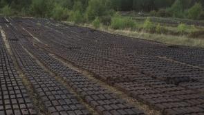 Bord na Móna letter warns of turf-cutting ban on Laois Offaly bogs
