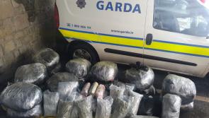 Photo reveals the scale of huge cannabis seizure in Laois