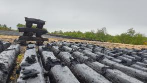 Illegal that's why - Bord na Móna provides 'detailed legal briefing 'to politicians on turf cutting bans 

 