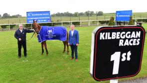 Midlands National to go to post at Kilbeggan on RTÉ TV next week 