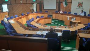 Cost of Ireland's local politicians could rise by nearly €7 million under reform plan
