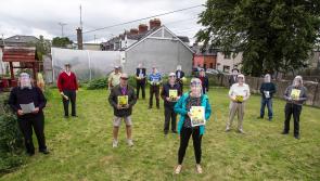 Men's Sheds across Ireland begin to lift their lockdown 