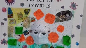 Abbeyleix art students record ‘The Impact of Covid-19’