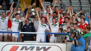 PREVIEW: Rathdowney-Errill the team to catch as Laois senior hurling championship kicks off