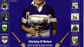 The complete Laois GAA records bible is on sale now