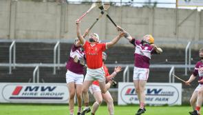Laois GAA Club planning major outdoor upgrade 