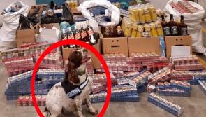 Sniffer dog Kelly sniffed out smuggled alcohol, cigarettes and tobacco 