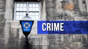 Laois Gardaí issue warning after person defrauded out of substantial sum in 'smishing' scam 