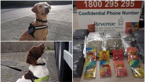 Sniffer dogs Bailey and Sam find drugs at mail centre worth €50k destined for five counties