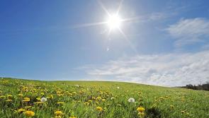 Met Eireann says it was dullest August in parts of Leinster since World War II 