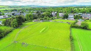 Laois Cricket club continue to improve facilities