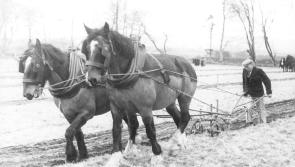 GALLERY: National Ploughing Championships held in Ratheniska, Laois in 1943