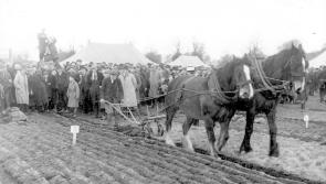 MEMORY LANE: The National Ploughing Championships were very different in the good old days