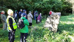 Wild Food Wander around  Ballintubbert Gardens