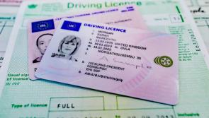 Clock ticking down on Brexit driving licence switch says Laois Offaly TD 