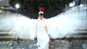 Business to Arts Awards calls for Laois entries