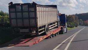 Cattle truck uninsured, unsafe and untaxed for years seized in Laois