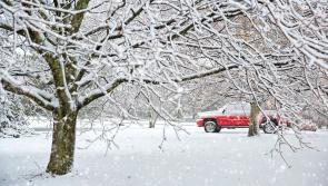 Will there be a White Christmas this year? Odds shorten on snow for Christmas Day