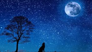 Rare blue moon over Laois this Halloween - and astronomy Ireland would love to see your photos