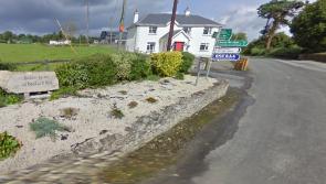 'Urgently needed' traffic measures to protect children in Laois village get funding