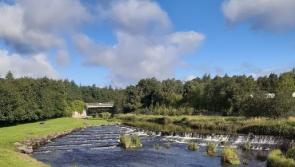 Campaign underway to reveal a 'hidden gem' in the heart of Laois