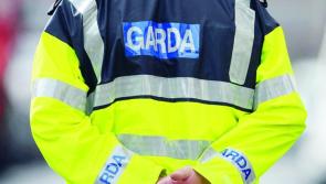 Do you know their owners? Gardaí recover stolen dogs from men in the South East 