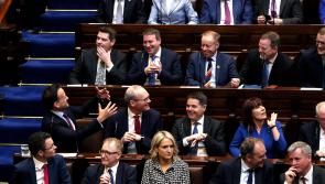 Laois Offaly Sinn Féin TD says his party will not 'sit idly by' over Varadkar leak